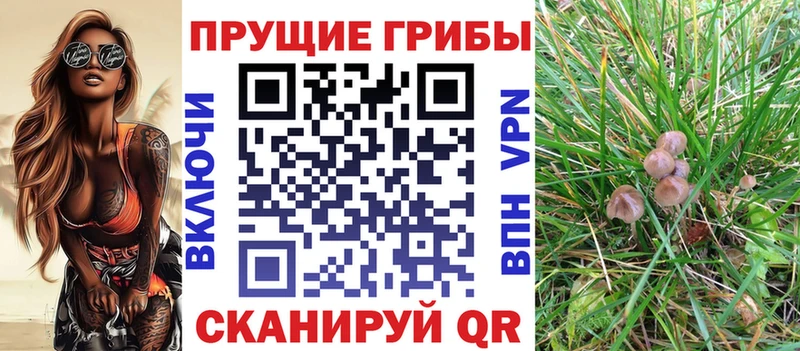 Галлюциногенные грибы Cubensis  Сольвычегодск 
